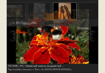 Picasa Photogallery